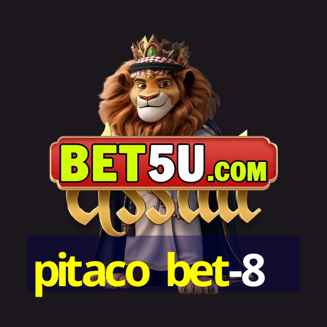 pitaco bet